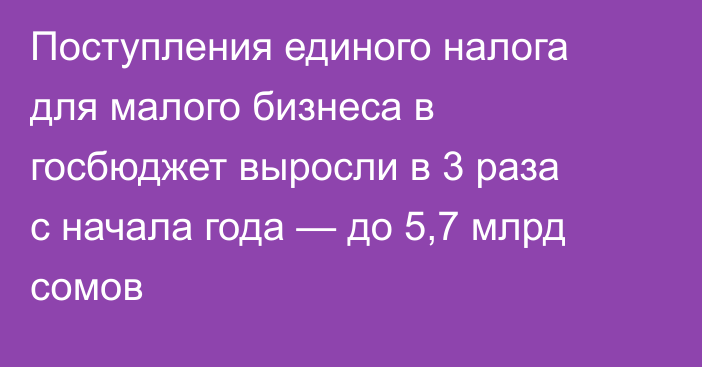 Поступления единого налога для малого бизнеса в госбюджет выросли в 3 раза с начала года — до 5,7 млрд сомов