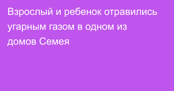 Взрослый и ребенок отравились угарным газом в одном из домов Семея