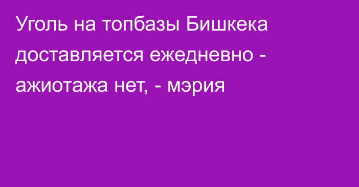 Уголь на топбазы Бишкека доставляется ежедневно - ажиотажа нет, - мэрия