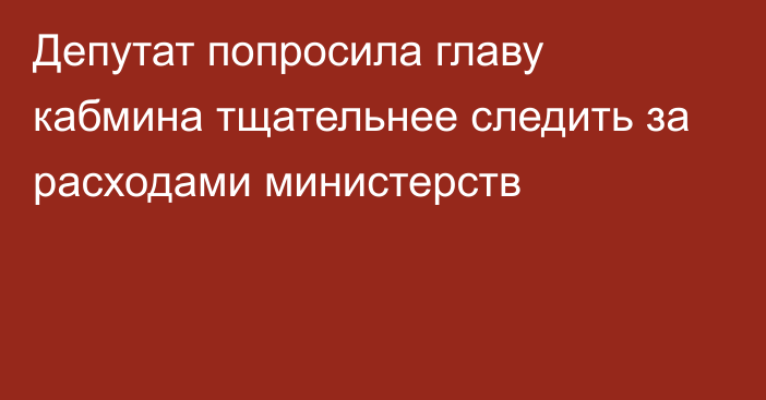 Депутат попросила главу кабмина тщательнее следить за расходами министерств