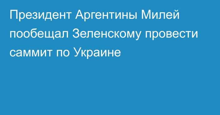 Президент Аргентины Милей пообещал Зеленскому провести саммит по Украине