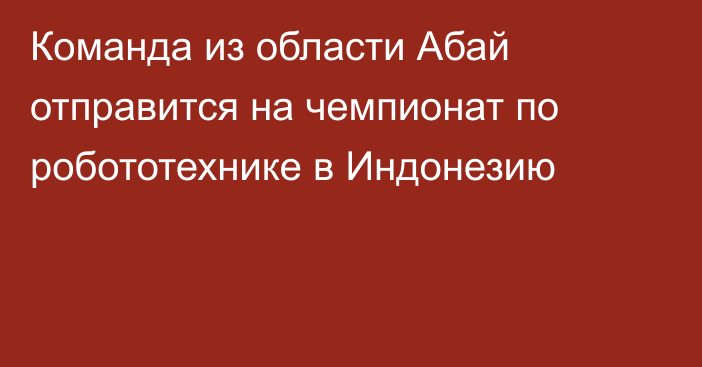 Команда из области Абай отправится на чемпионат по робототехнике в Индонезию