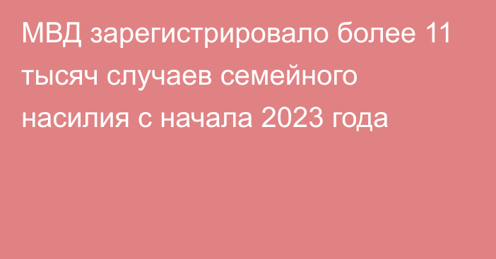 МВД зарегистрировало более 11 тысяч случаев семейного насилия с начала 2023 года