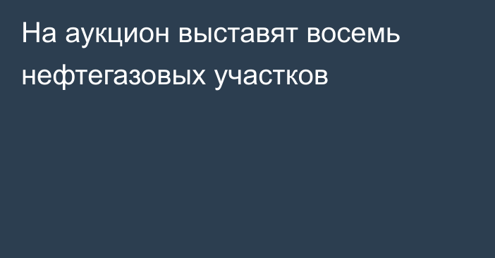 На аукцион выставят восемь нефтегазовых участков