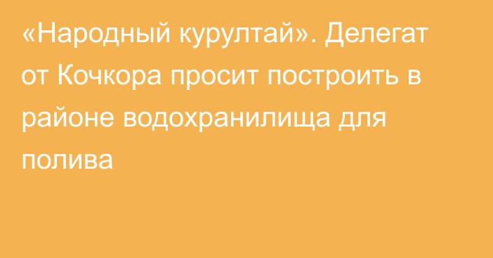 «Народный курултай». Делегат от Кочкора просит построить в районе водохранилища для полива