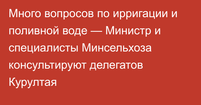 Много вопросов по ирригации и поливной воде — Министр и специалисты Минсельхоза консультируют делегатов Курултая