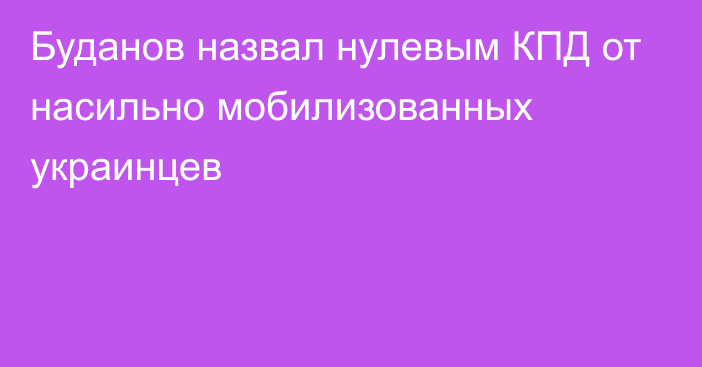 Буданов назвал нулевым КПД от насильно мобилизованных украинцев