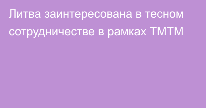 Литва заинтересована в тесном сотрудничестве в рамках ТМТМ