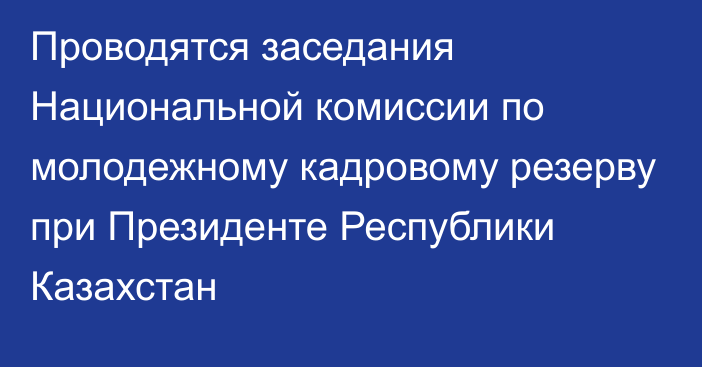 Проводятся заседания Национальной комиссии по молодежному кадровому резерву при Президенте Республики Казахстан