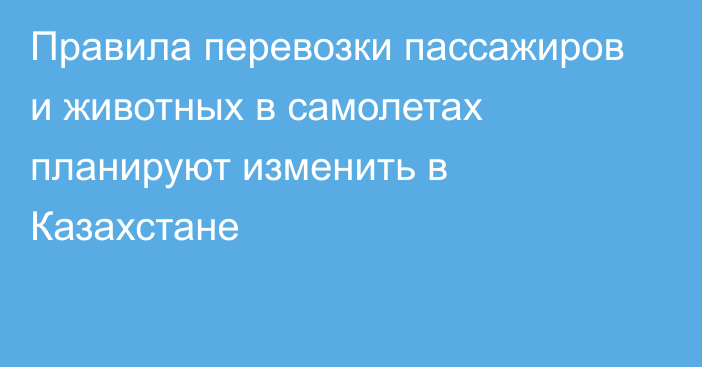 Правила перевозки пассажиров и животных в самолетах планируют изменить в Казахстане