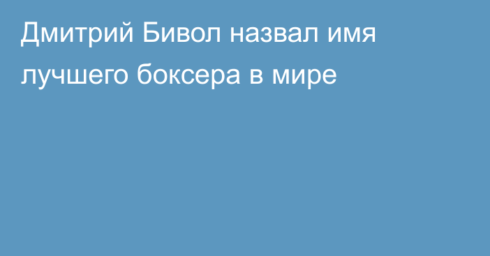 Дмитрий Бивол назвал имя лучшего боксера в мире