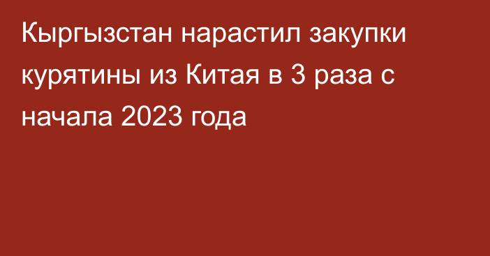 Кыргызстан нарастил закупки курятины из Китая в 3 раза с начала 2023 года