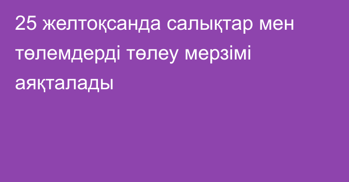 25 желтоқсанда салықтар мен төлемдерді төлеу мерзімі аяқталады