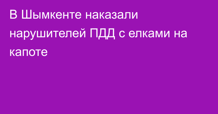 В Шымкенте наказали нарушителей ПДД с елками на капоте