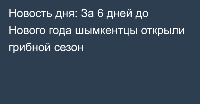 Новость дня: За 6 дней до Нового года шымкентцы открыли грибной сезон