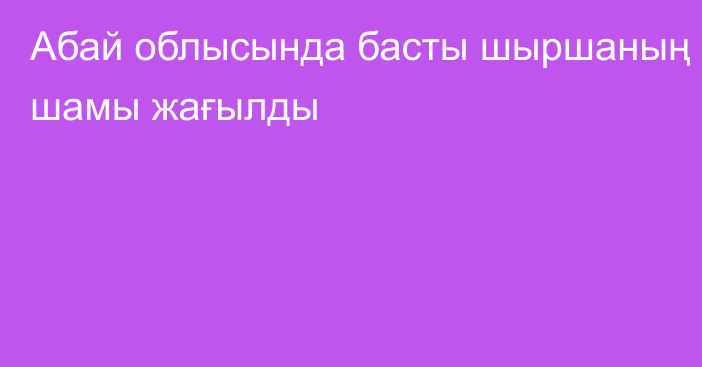 Абай облысында басты шыршаның шамы жағылды