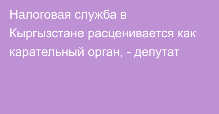 Налоговая служба в Кыргызстане расценивается как карательный орган, - депутат