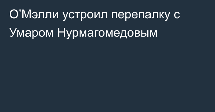 О’Мэлли устроил перепалку с Умаром Нурмагомедовым