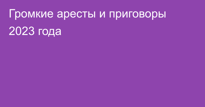 Громкие аресты и приговоры 2023 года