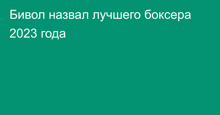 Бивол назвал лучшего боксера 2023 года