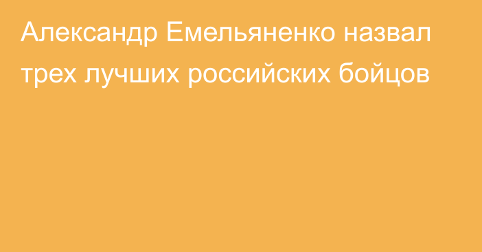 Александр Емельяненко назвал трех лучших российских бойцов