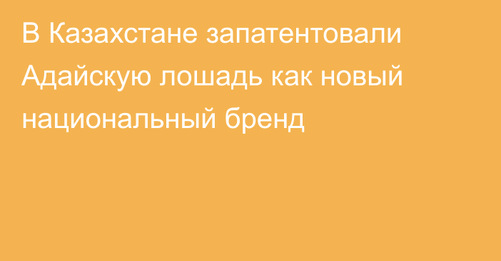 В Казахстане запатентовали Адайскую лошадь как новый национальный бренд