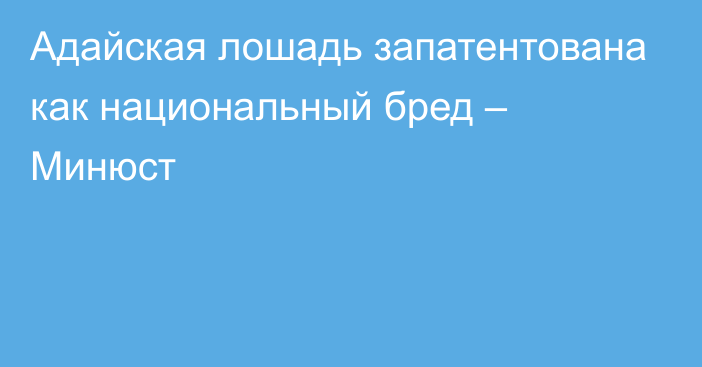 Адайская лошадь запатентована как национальный бред – Минюст