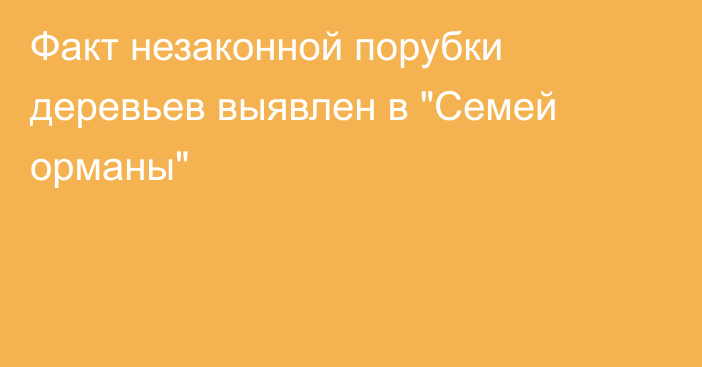 Факт незаконной порубки деревьев выявлен в 