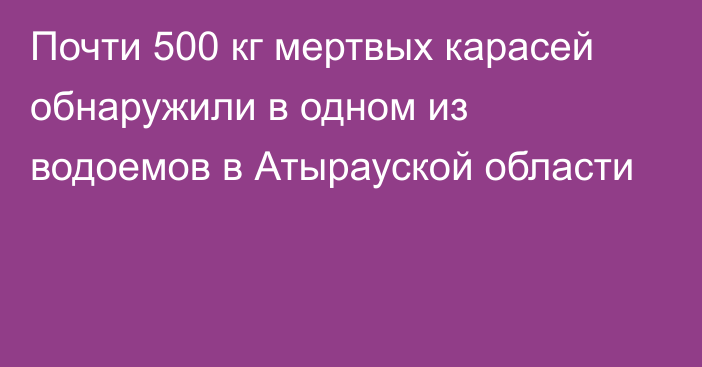 Почти 500 кг мертвых карасей обнаружили в одном из водоемов в Атырауской области