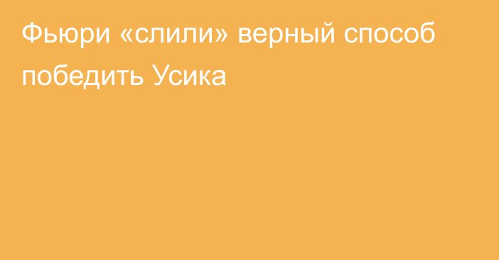 Фьюри «слили» верный способ победить Усика