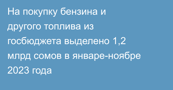 На покупку бензина и другого топлива из госбюджета выделено 1,2 млрд сомов в январе-ноябре 2023 года