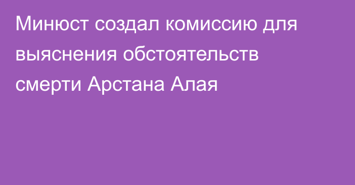 Минюст создал комиссию для выяснения обстоятельств смерти Арстана Алая