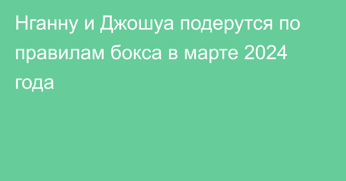 Нганну и Джошуа подерутся по правилам бокса в марте 2024 года