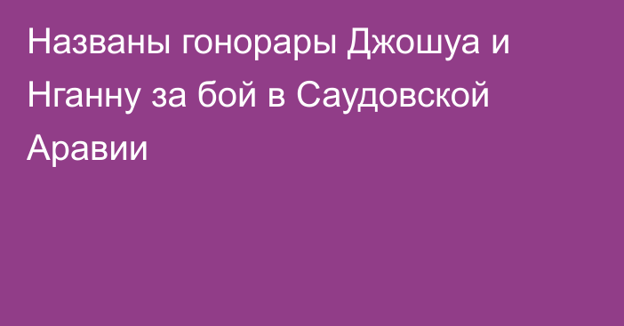 Названы гонорары Джошуа и Нганну за бой в Саудовской Аравии