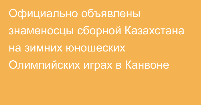 Официально объявлены знаменосцы сборной Казахстана на зимних юношеских Олимпийских играх в Канвоне