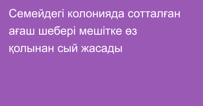 Семейдегі колонияда сотталған ағаш шебері мешітке өз қолынан сый жасады