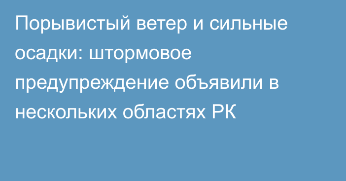 Порывистый ветер и сильные осадки: штормовое предупреждение объявили в нескольких областях РК