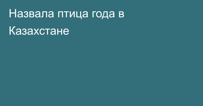 Назвала птица года в Казахстане