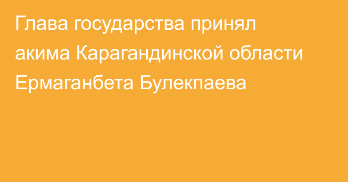 Глава государства принял акима Карагандинской области Ермаганбета Булекпаева