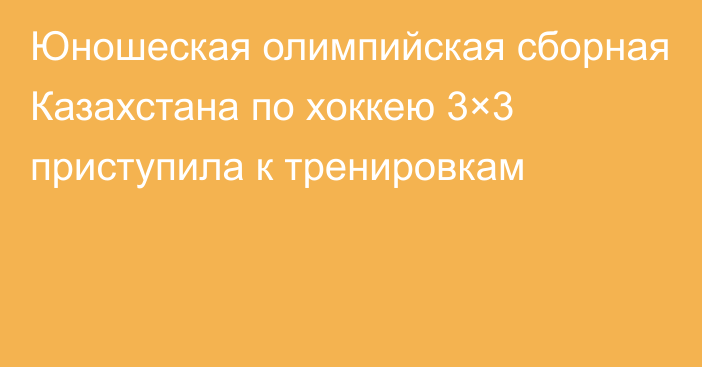 Юношеская олимпийская сборная Казахстана по хоккею 3×3 приступила к тренировкам