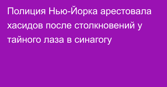 Полиция Нью-Йорка арестовала хасидов после столкновений у тайного лаза в синагогу