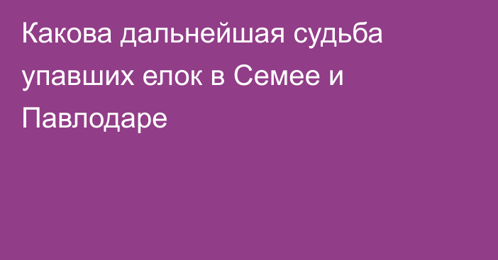 Какова дальнейшая судьба упавших елок в Семее и Павлодаре