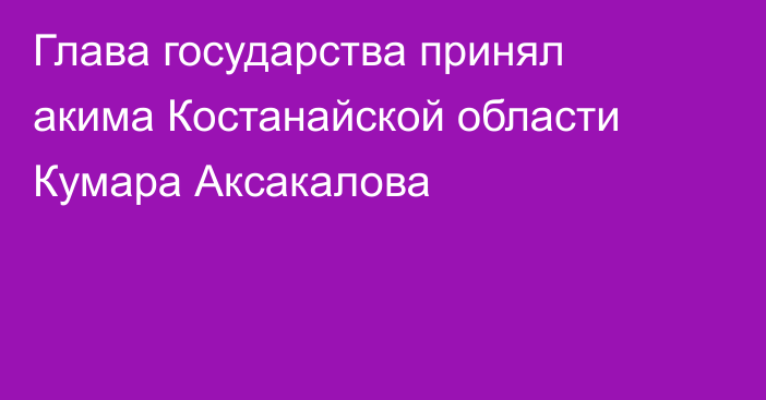 Глава государства принял акима Костанайской области Кумара Аксакалова