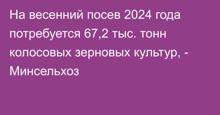 На весенний посев 2024 года потребуется 67,2 тыс. тонн колосовых зерновых культур, - Минсельхоз