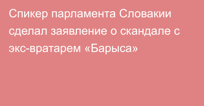 Спикер парламента Словакии сделал заявление о скандале с экс-вратарем «Барыса»