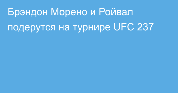 Брэндон Морено и Ройвал подерутся на турнире UFC 237