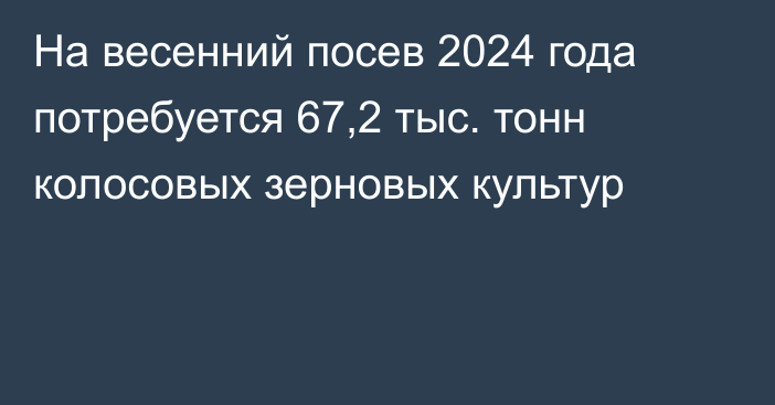 На весенний посев 2024 года потребуется 67,2 тыс. тонн колосовых зерновых культур