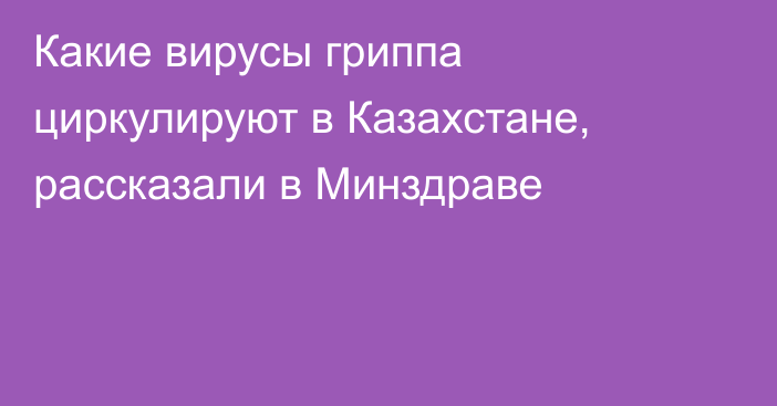 Какие вирусы гриппа циркулируют в Казахстане, рассказали в Минздраве