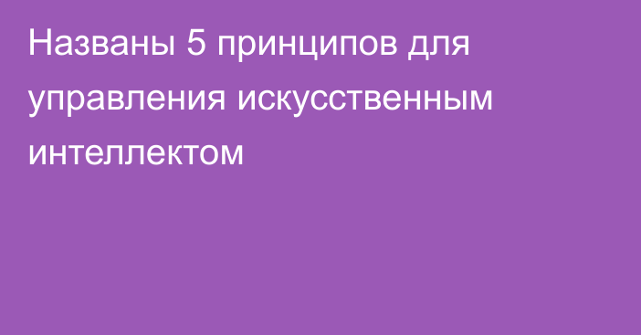 Названы 5 принципов для управления искусственным интеллектом