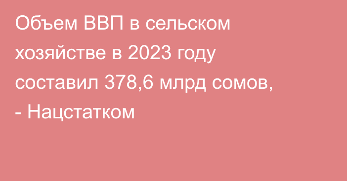 Объем ВВП в сельском хозяйстве в 2023 году составил 378,6 млрд сомов, - Нацстатком